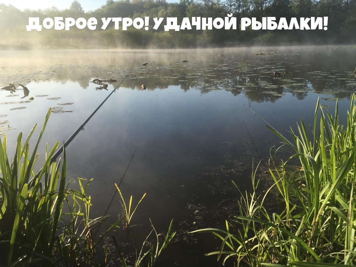 Открытка настоящему мужику доброе утро, удачной рыбалки! Открытка настоящему мужику доброе утро, удачной рыбалки!