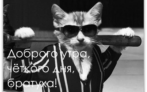 Пожелания доброго утра любимому Пожелания доброго утра любимому