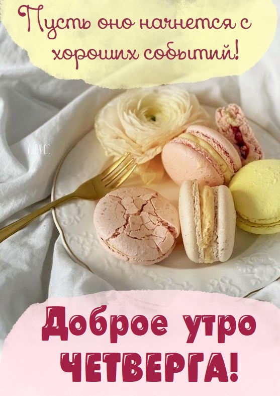 Хостинг картинок yapx.ru