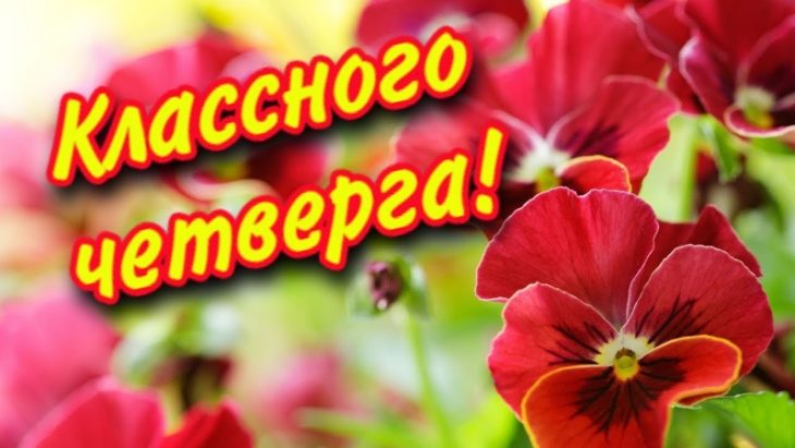 Хостинг картинок yapx.ru