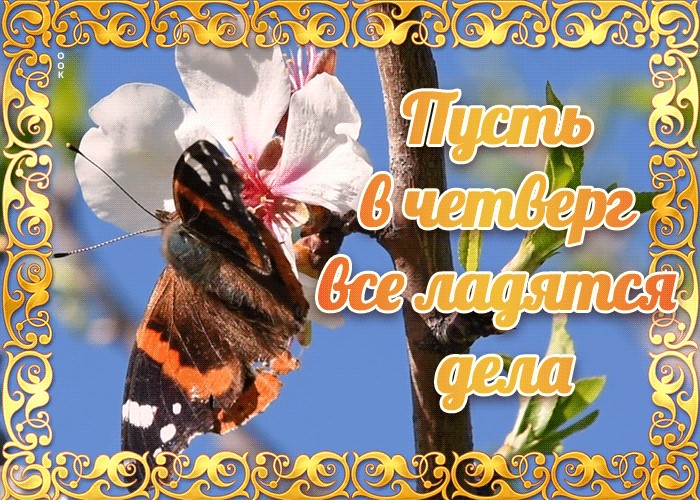 Хостинг картинок yapx.ru