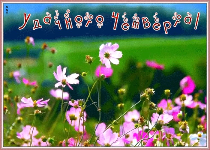 Хостинг картинок yapx.ru