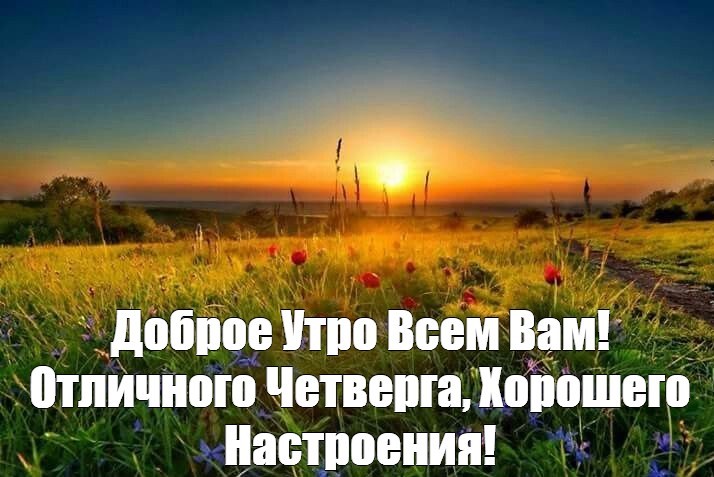 Хостинг картинок yapx.ru