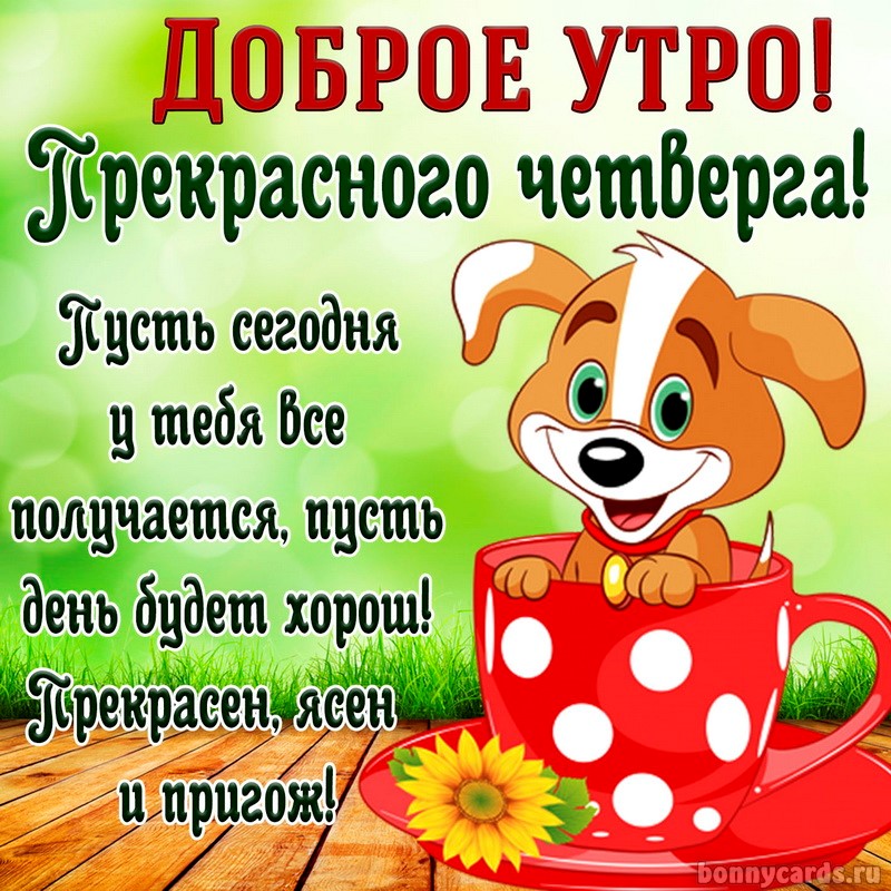 Хостинг картинок yapx.ru