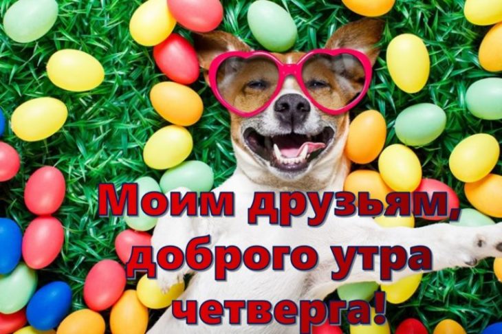 Хостинг картинок yapx.ru