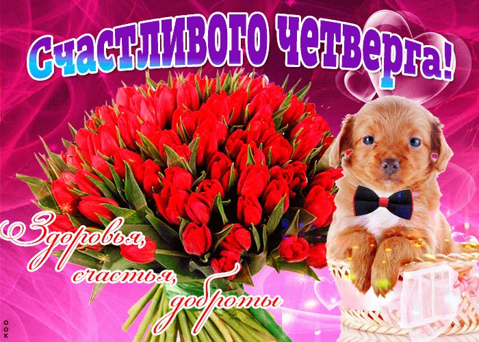 Хостинг картинок yapx.ru
