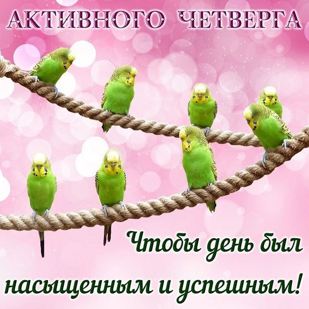 Хостинг картинок yapx.ru