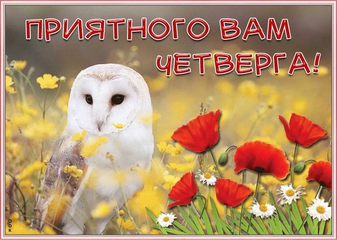 Хостинг картинок yapx.ru