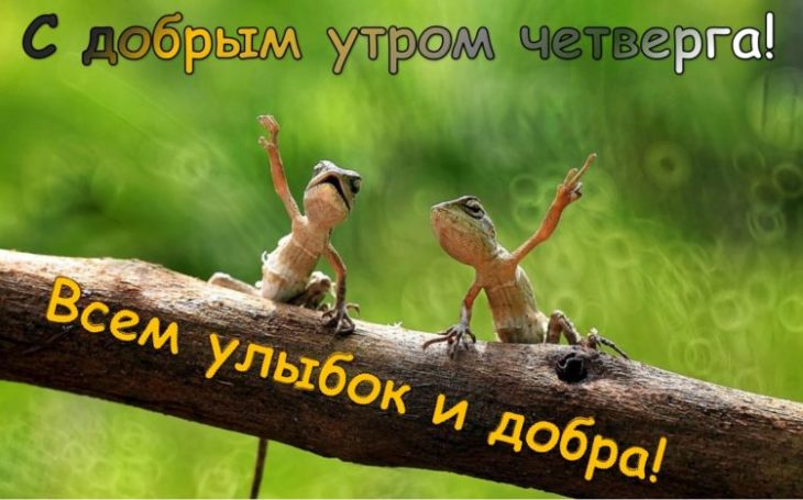 Хостинг картинок yapx.ru