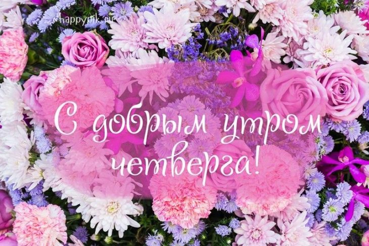 Хостинг картинок yapx.ru