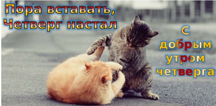 Хостинг картинок yapx.ru