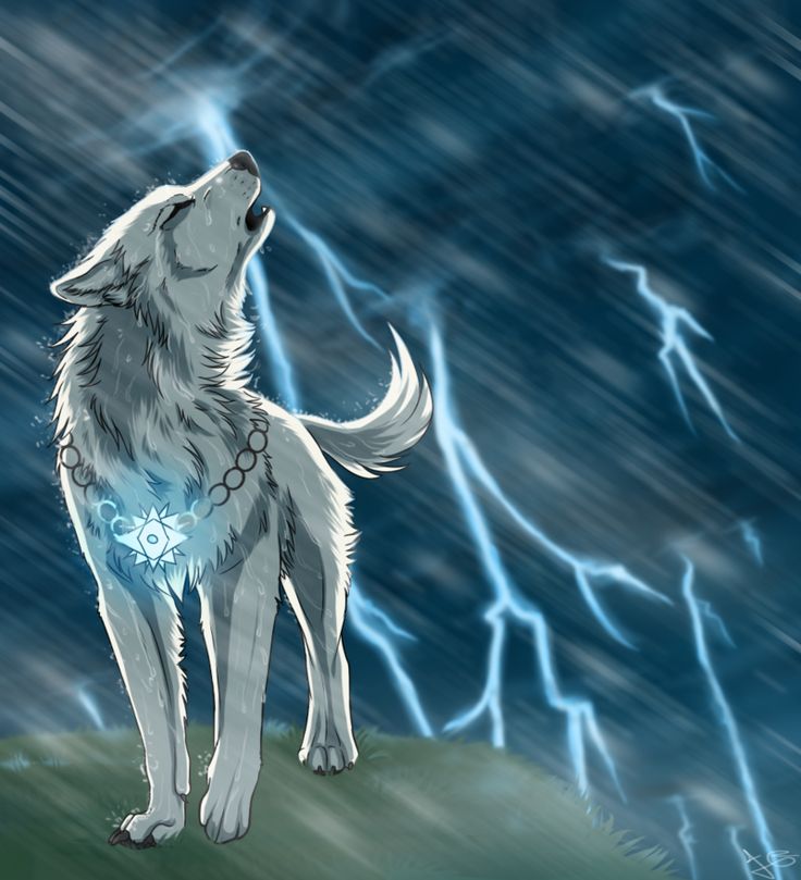Anime wolf drawing, Anime wolf, Wolf artwork. Волки аниме, Белый волк аниме Anime wolf drawing, Anime wolf, Wolf artwork. Волки аниме, Белый волк аниме