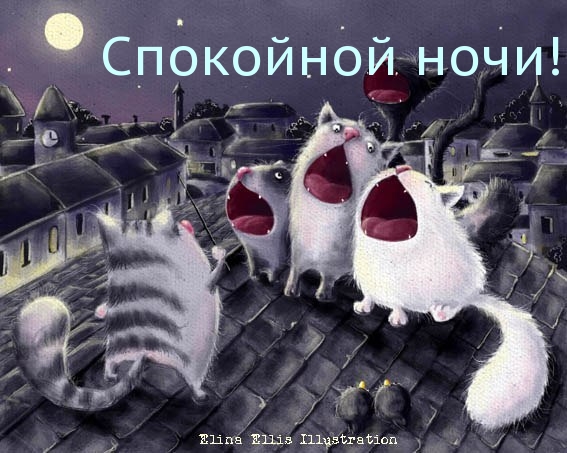 Смешная картинка коты в городе желают спокойной ночи и сладких снов с юмором! Смешная картинка коты в городе желают спокойной ночи и сладких снов с юмором!