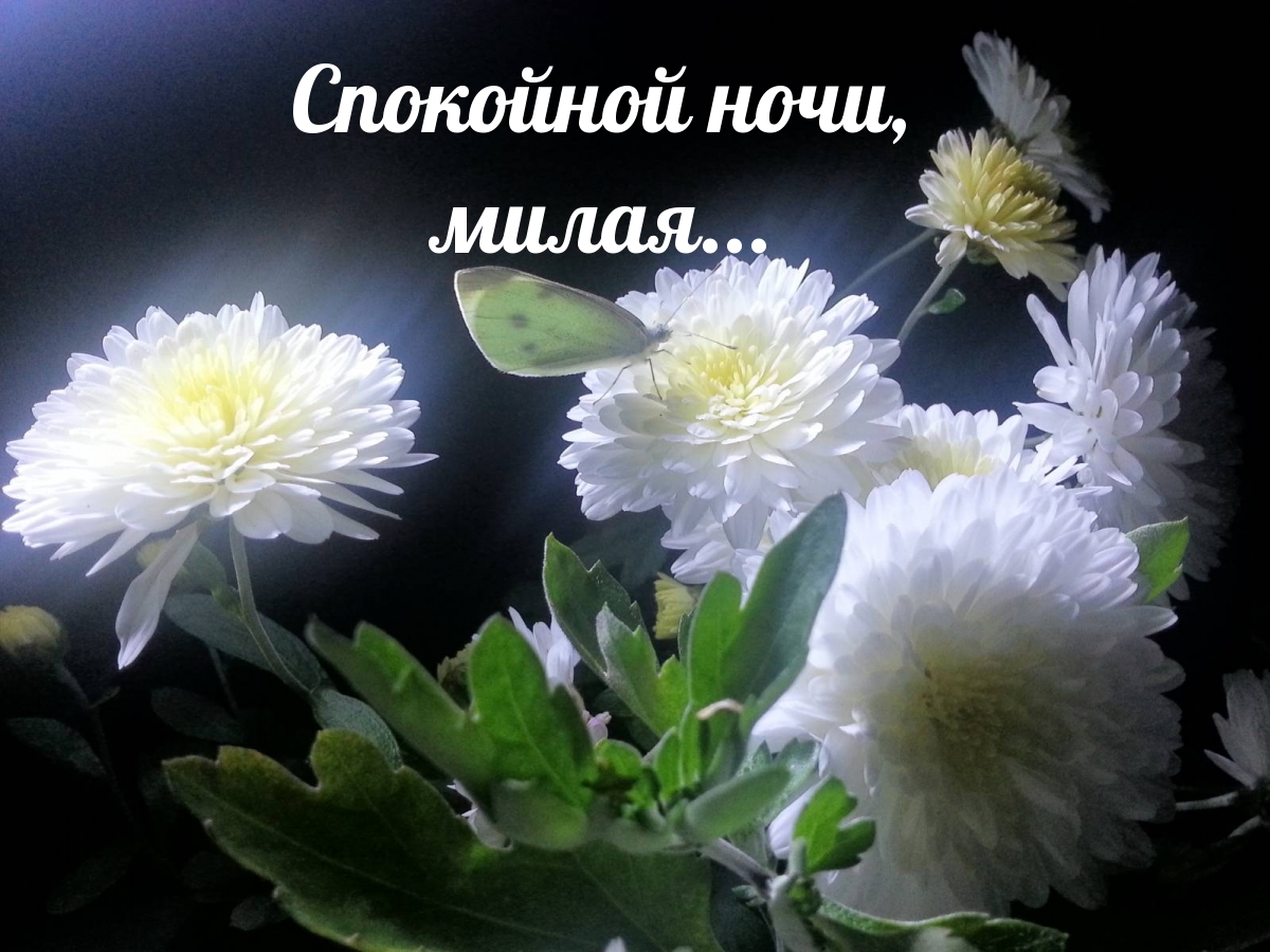 Необыкновенные ночные пейзажи Необыкновенные ночные пейзажи
