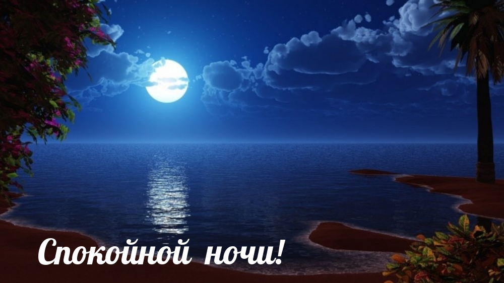 Цветы ночью, Летняя ночь, Красивая летняя ночь Цветы ночью, Летняя ночь, Красивая летняя ночь