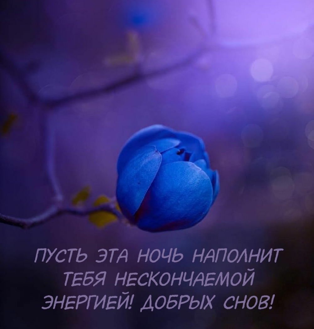 Хостинг картинок yapx.ru