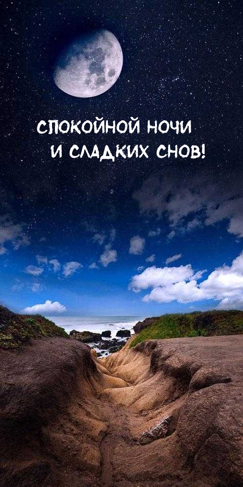 Хостинг картинок yapx.ru