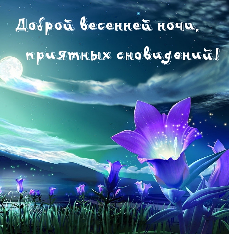 Красивая картинка доброй весенней ночи, приятных сновидений! Красивая картинка доброй весенней ночи, приятных сновидений!