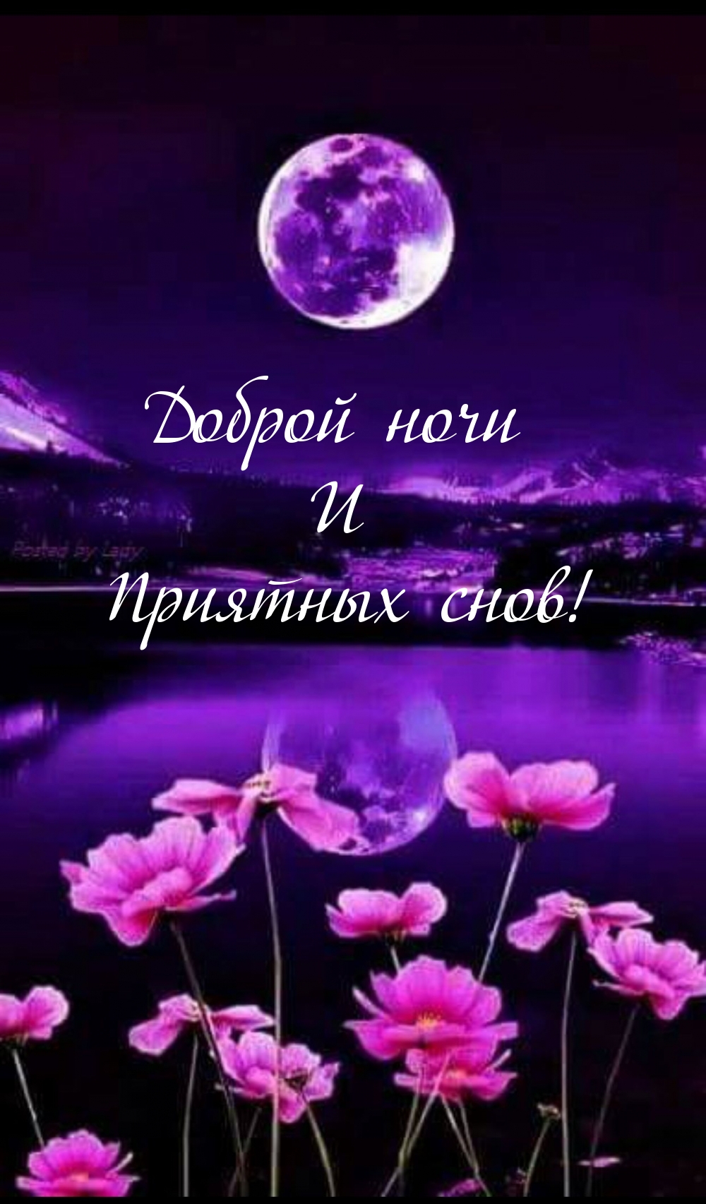 Хостинг картинок yapx.ru
