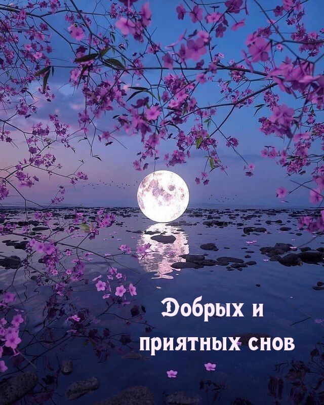 Хостинг картинок yapx.ru