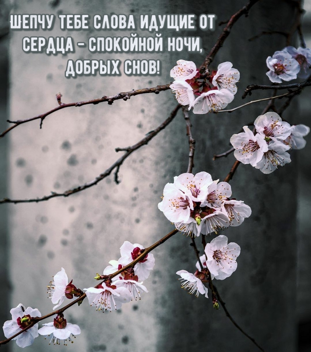 Хостинг картинок yapx.ru