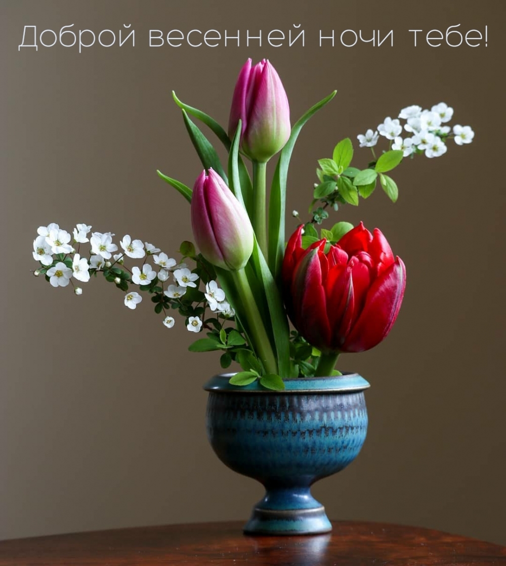 Хостинг картинок yapx.ru