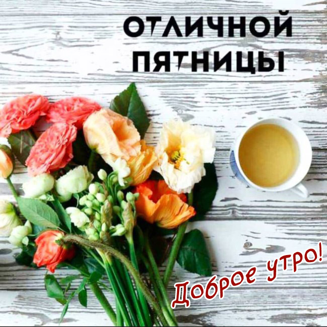 Доброе утро с пятницей смешные, Доброе утро пятницы прикольные необычные. Доброе утро с пятницей смешные, Доброе утро пятницы прикольные необычные.