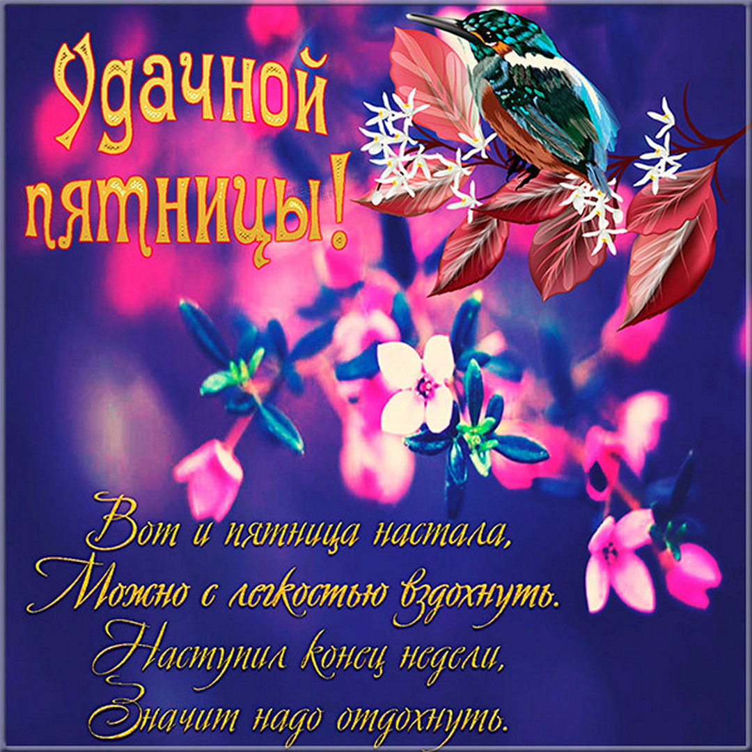 Хостинг картинок yapx.ru