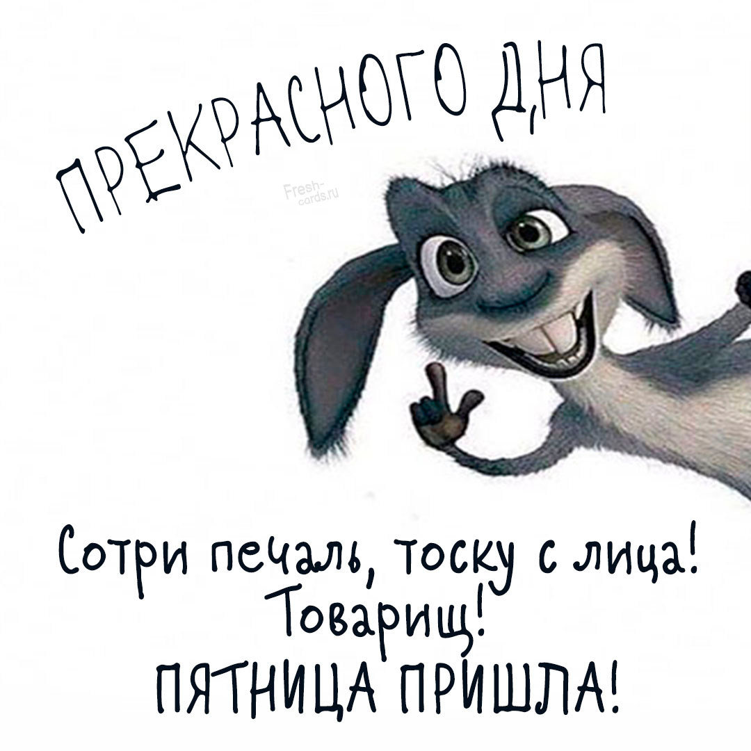 Хостинг картинок yapx.ru