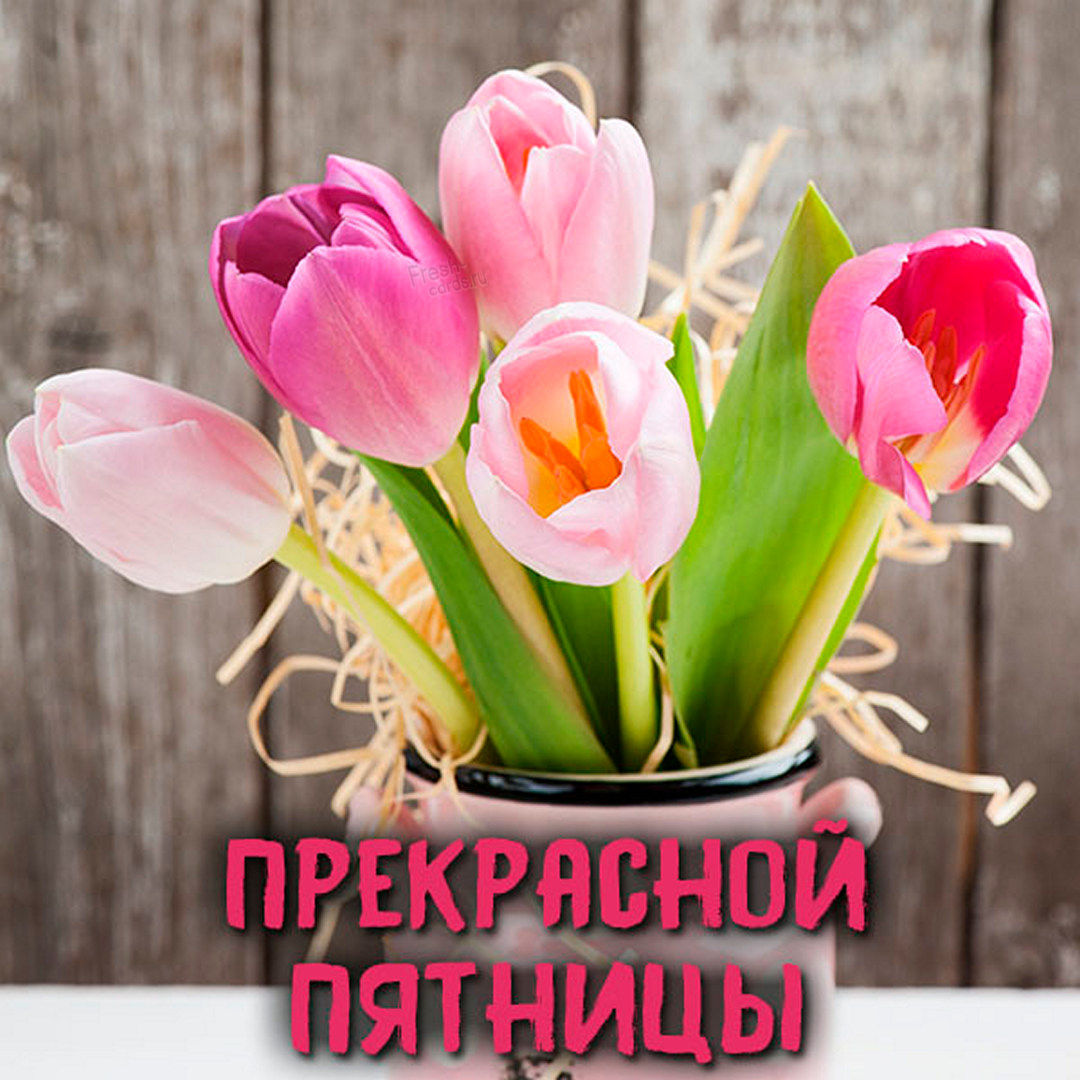 Хостинг картинок yapx.ru