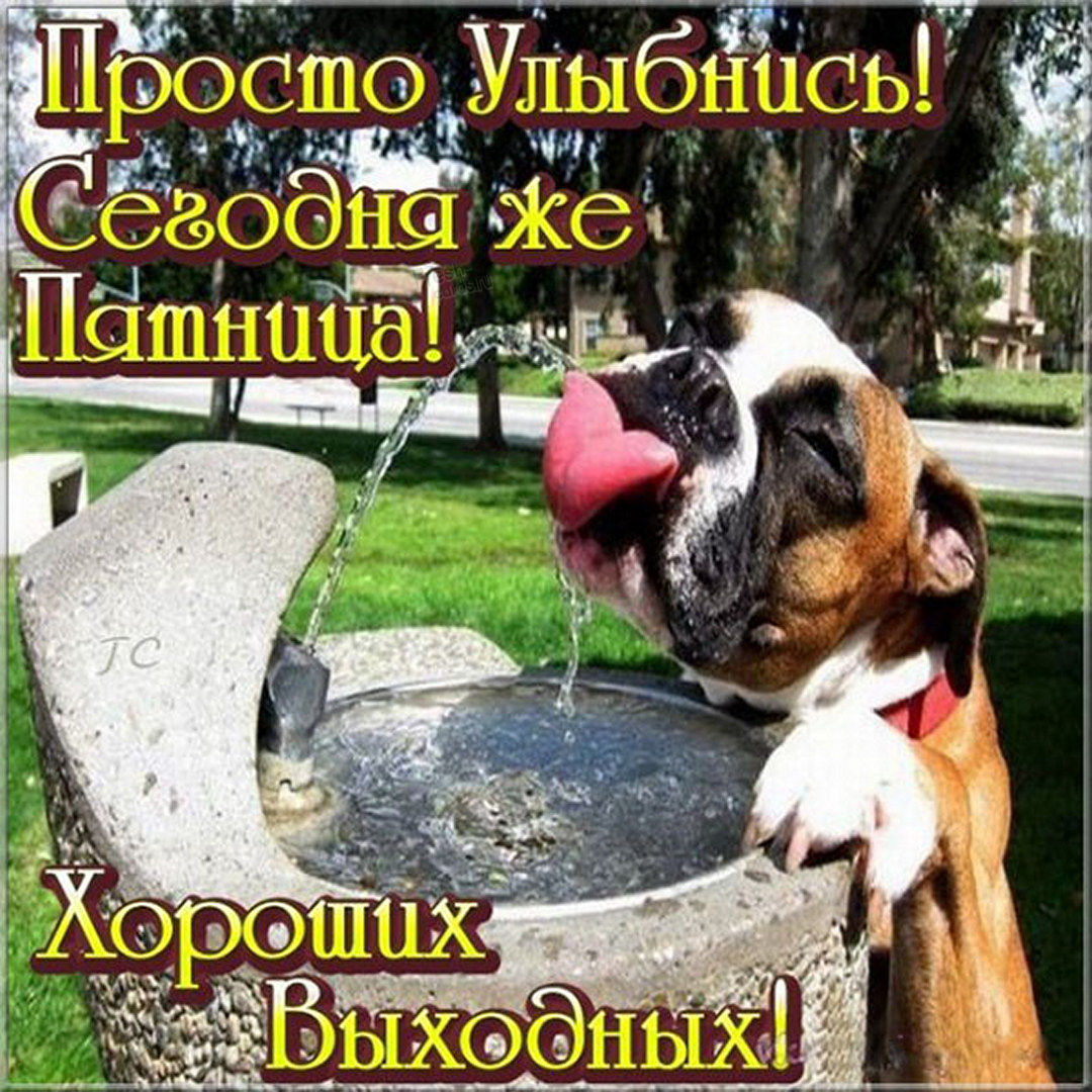 Хостинг картинок yapx.ru