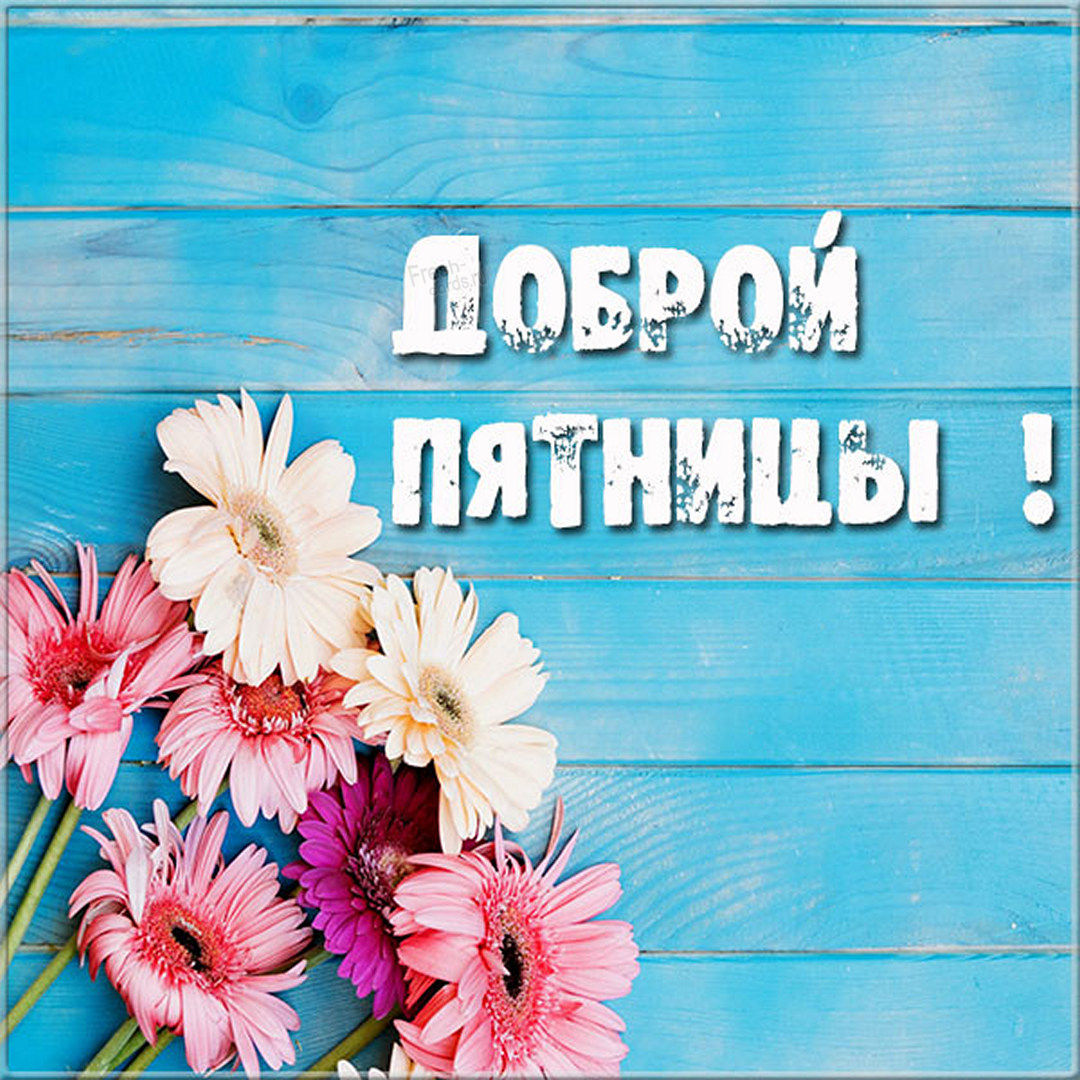 Хостинг картинок yapx.ru