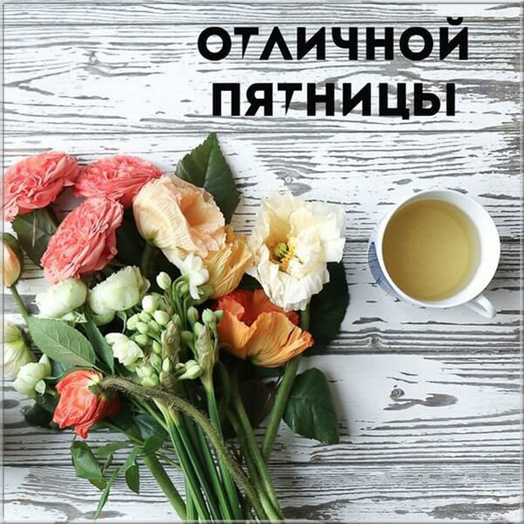 Хостинг картинок yapx.ru