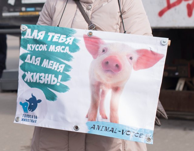 Открытка с международным днем без мяса