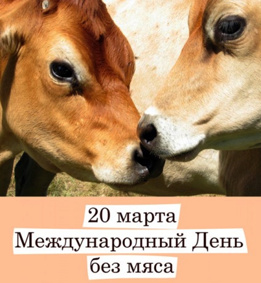 Мир отмечает Международный день без мяса.