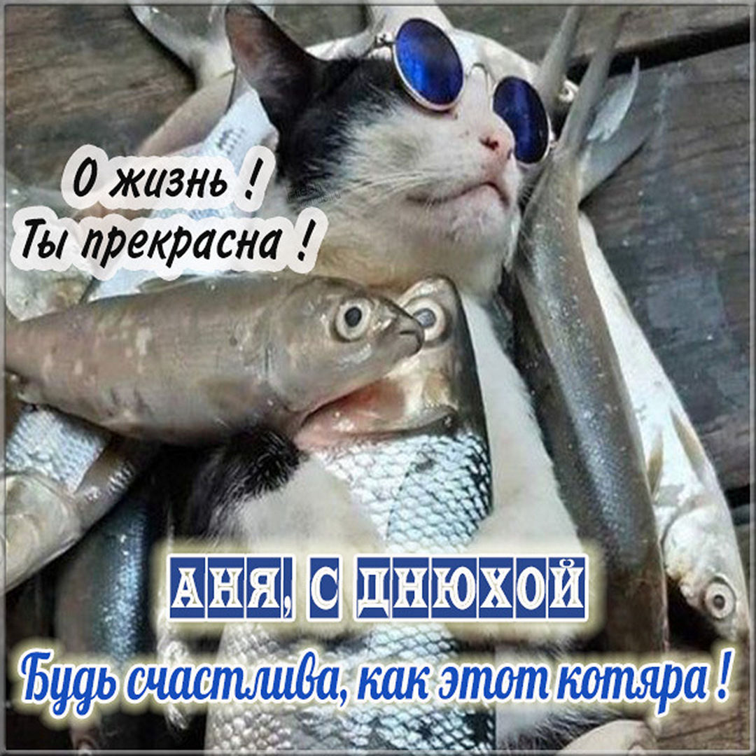 Красивое поздравление с котятами Анечке с Днём рождения.
