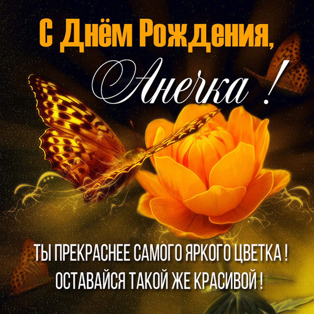Яркая открытка с цветами и бабочкой на день рождения Анне.
