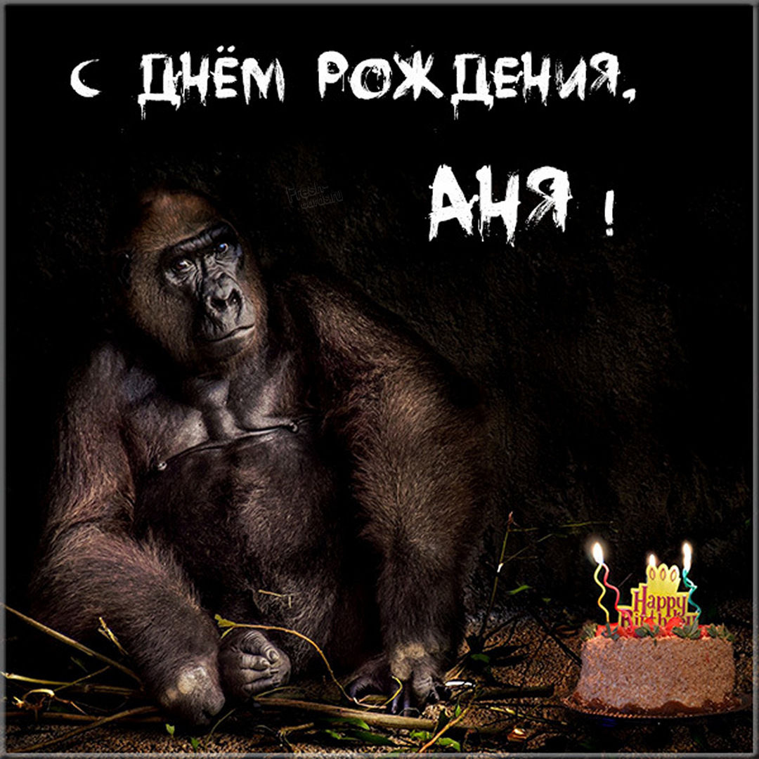 Хостинг картинок yapx.ru