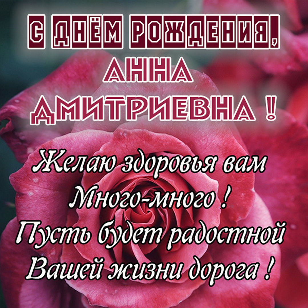 Нежные розы в красивом оформлении.
