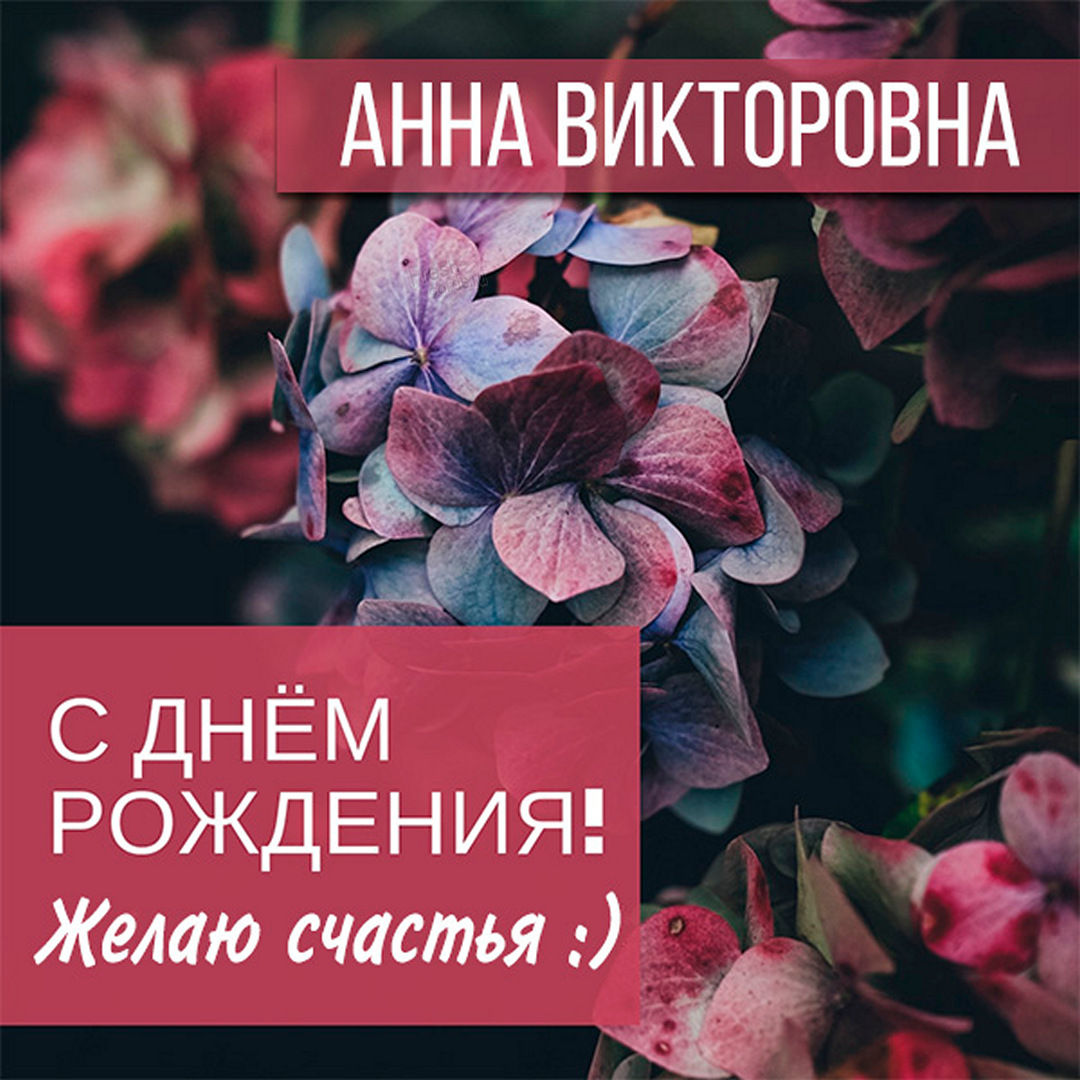 Хостинг картинок yapx.ru