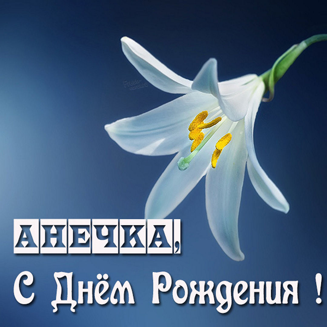 Хостинг картинок yapx.ru