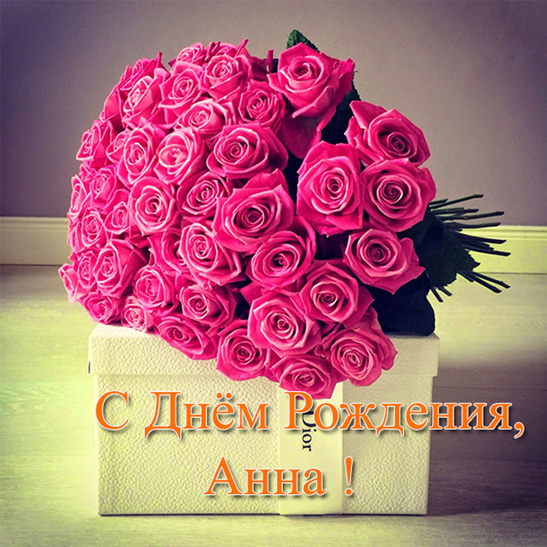 Огромный букет красных роз для Анны.