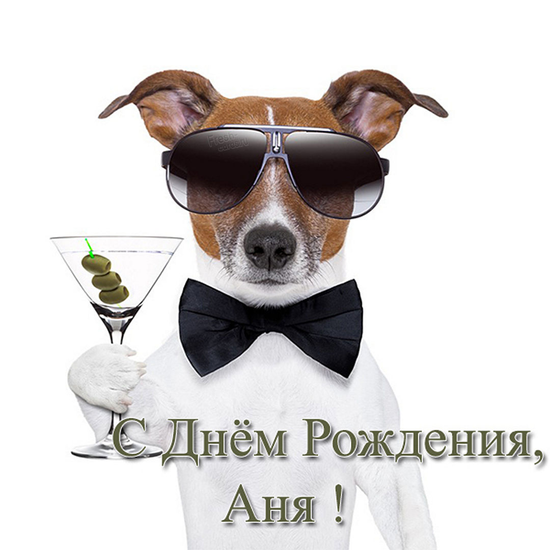 Хостинг картинок yapx.ru