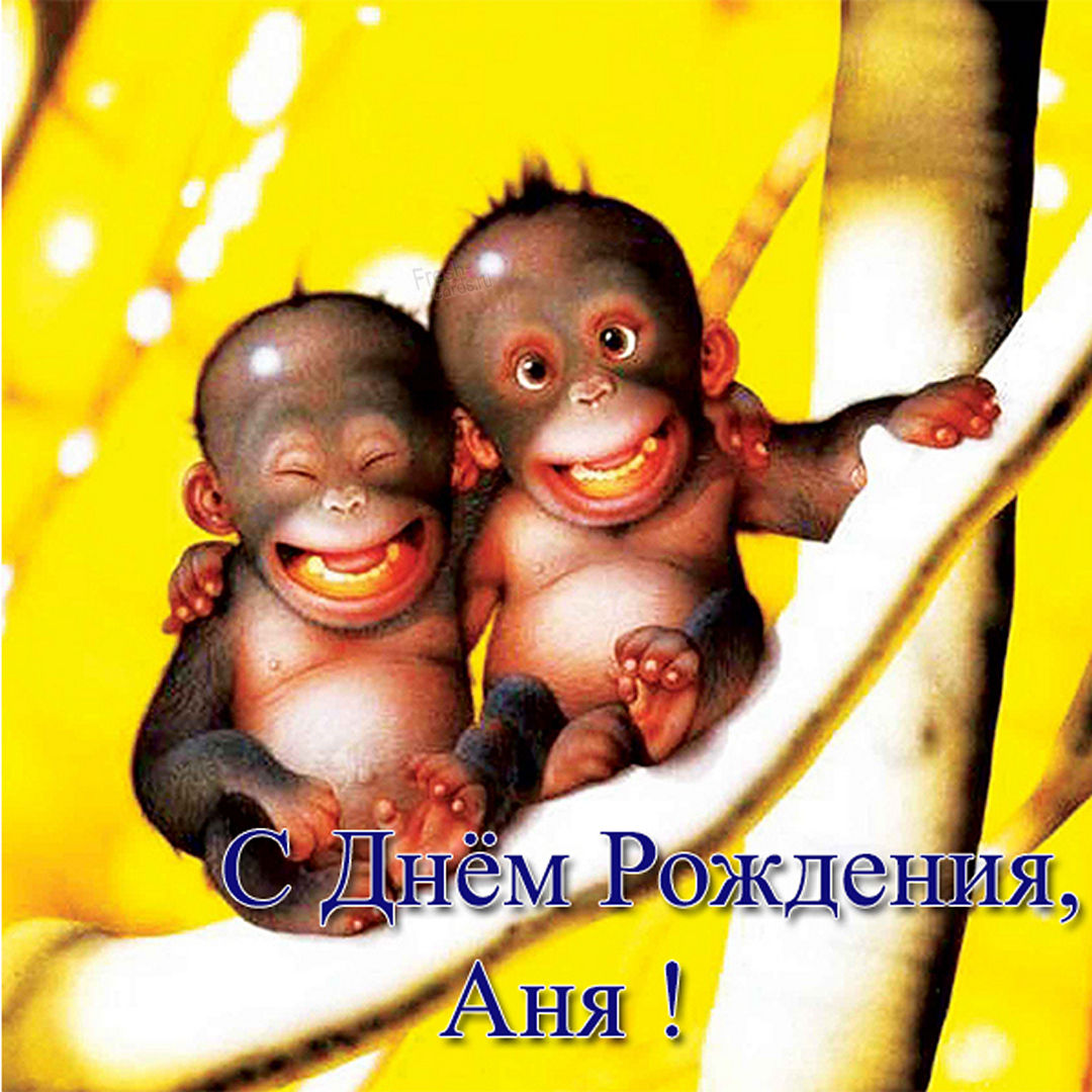Хостинг картинок yapx.ru