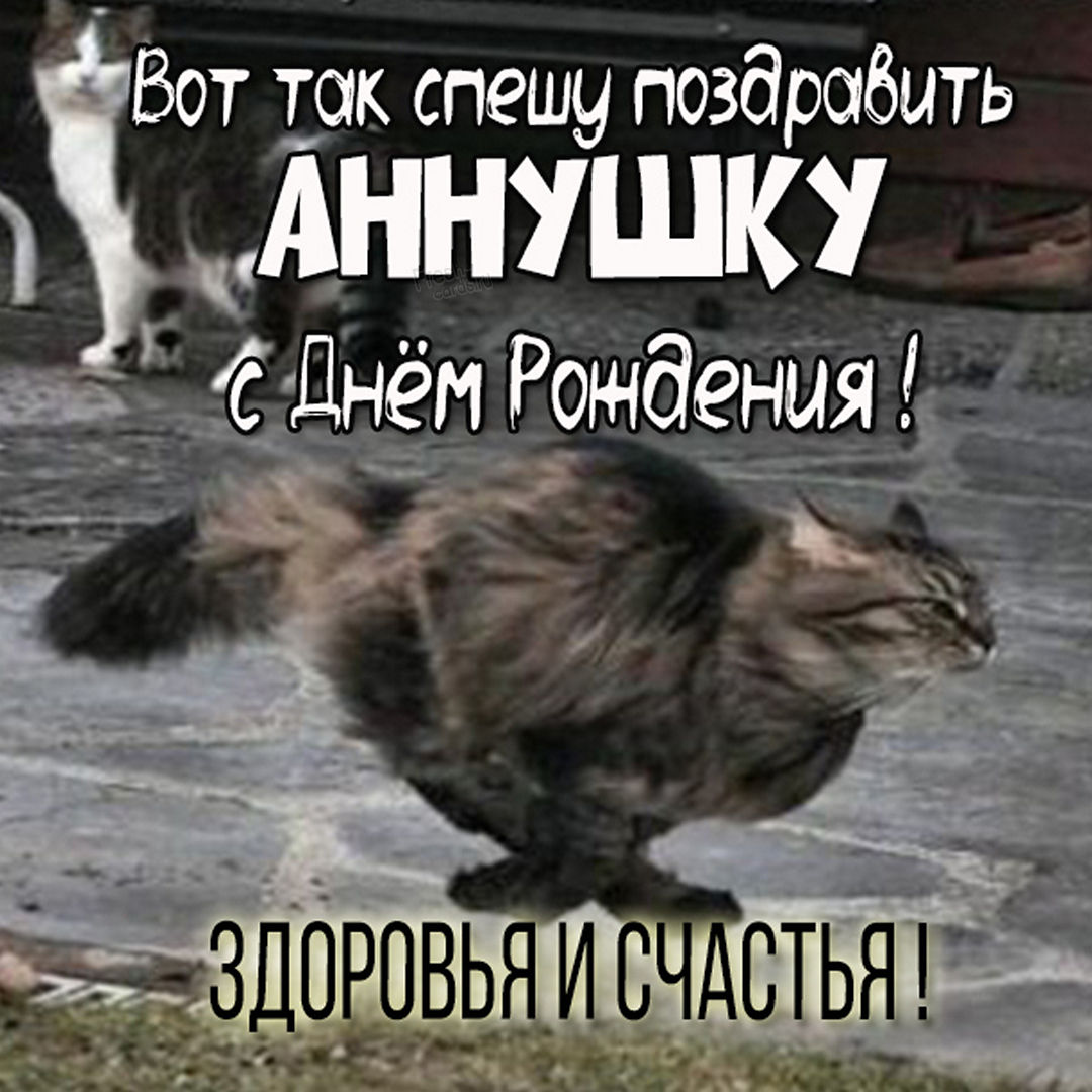 Хостинг картинок yapx.ru