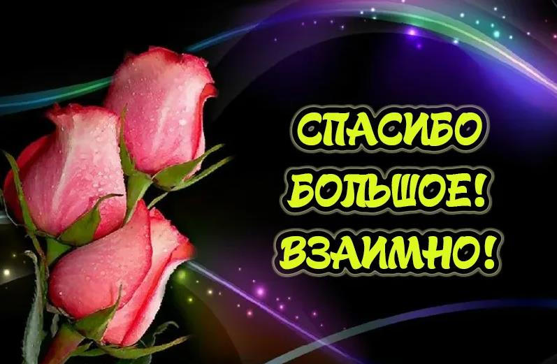 Спасибо большое, взаимно картинка бесплатная.