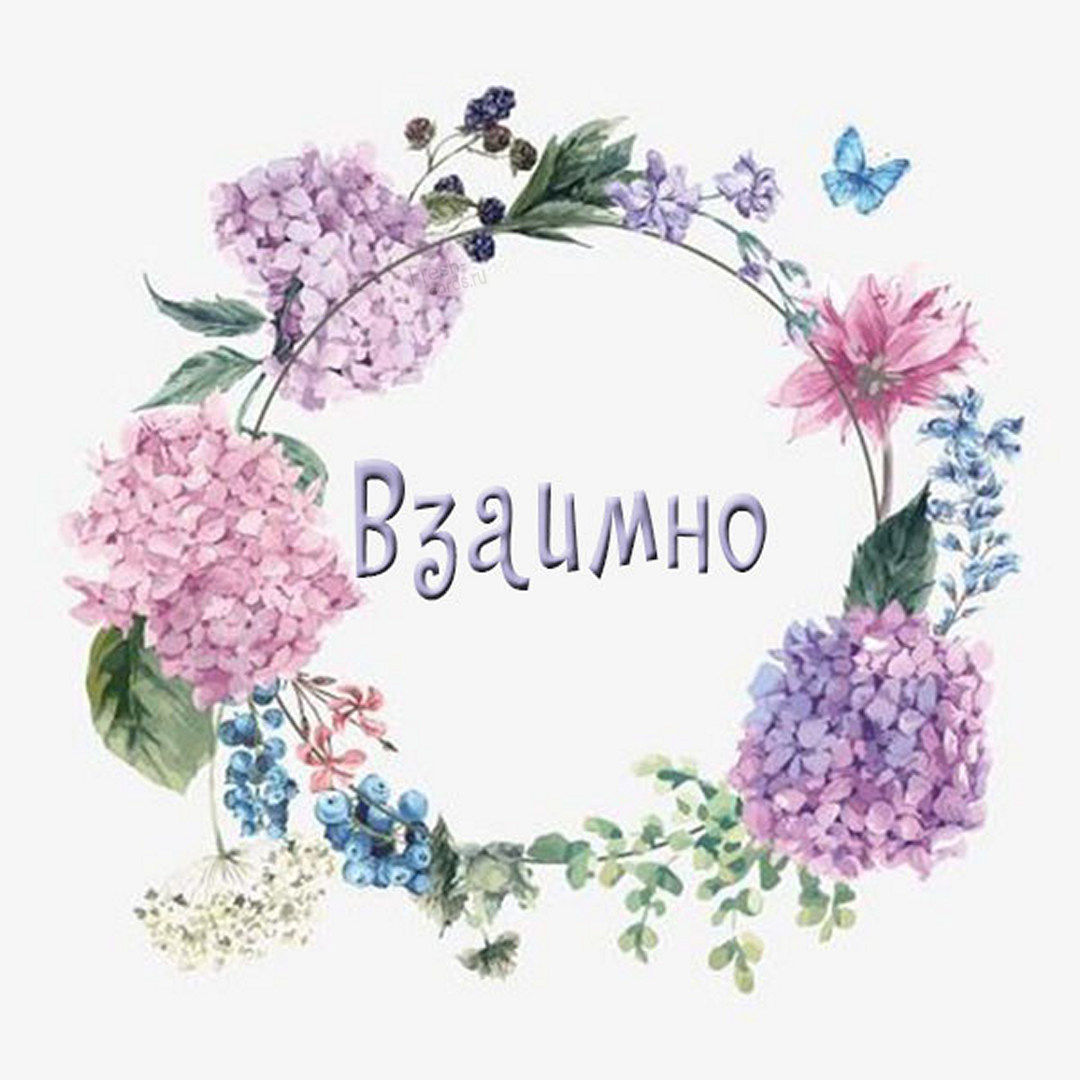 Хостинг картинок yapx.ru