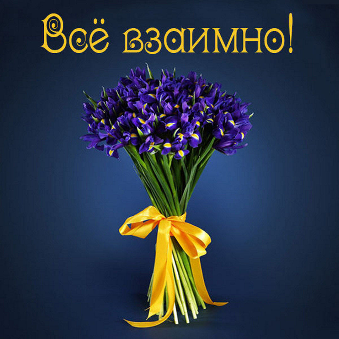 Всё взаимно!