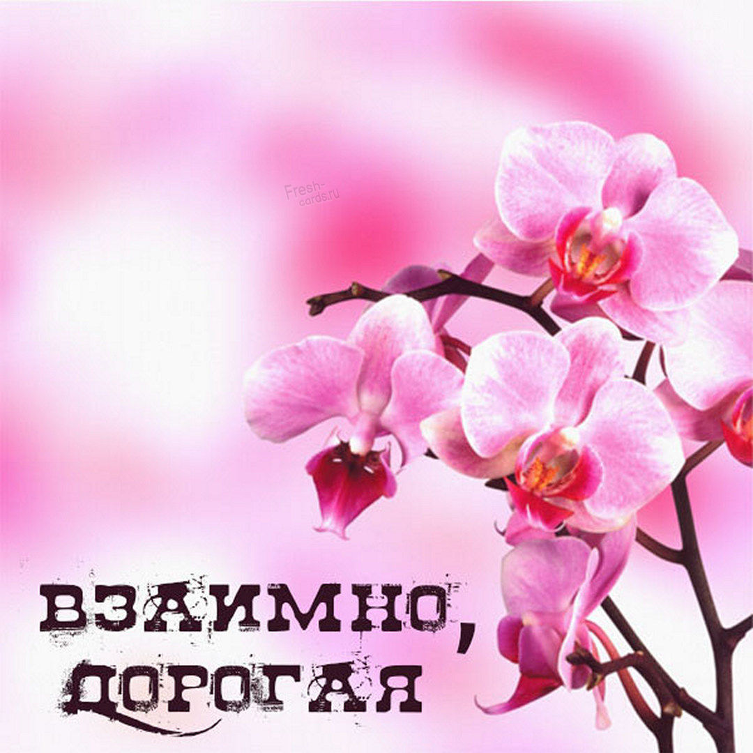 Весенняя открытка взаимно дорогая!