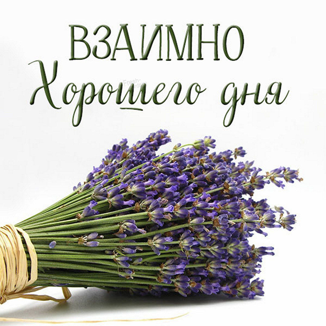 Взаимное пожелание хорошего дня!